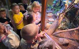 IMG-20260524-WA0011