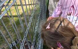 IMG-20260524-WA0056