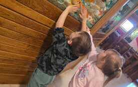 IMG-20260524-WA0050