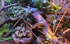 IMG-20260524-WA0033