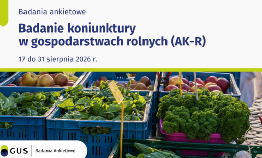 grafika