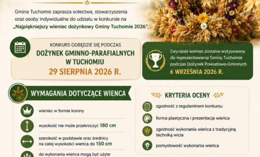 grafika
